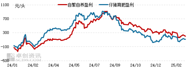 玉米4.png