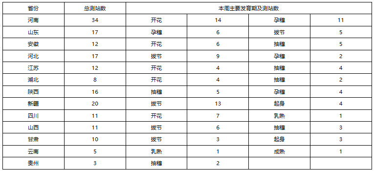 小麦1.png