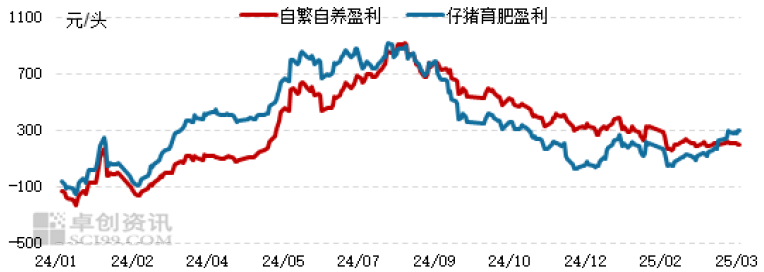 玉米4.png