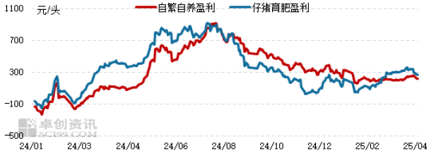 玉米4.png