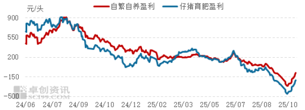 261764142925292580.png 玉米 (4).png