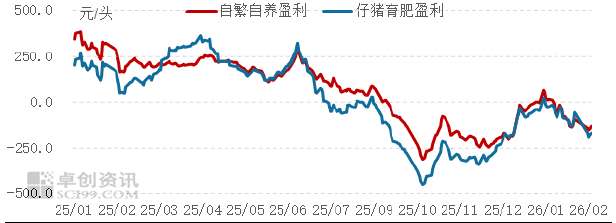 201773975805849283.png 玉米 (4).png