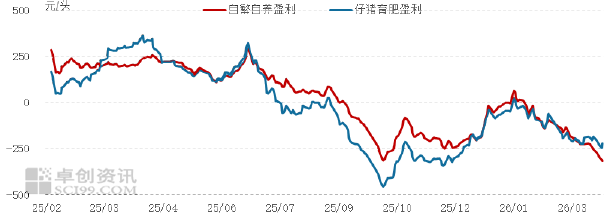 玉米 (4).png