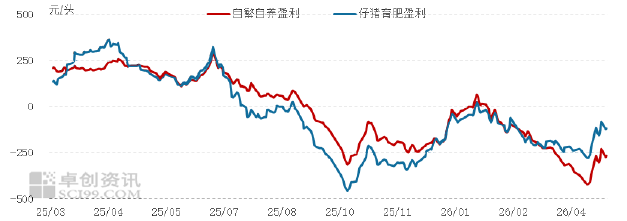玉米 (4).png