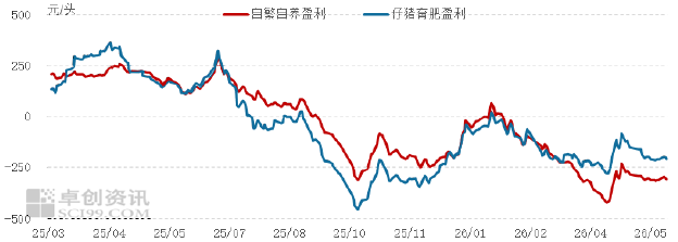 玉米 (4).png