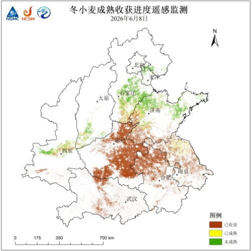 161781601783186072.png 小麦 (1).png